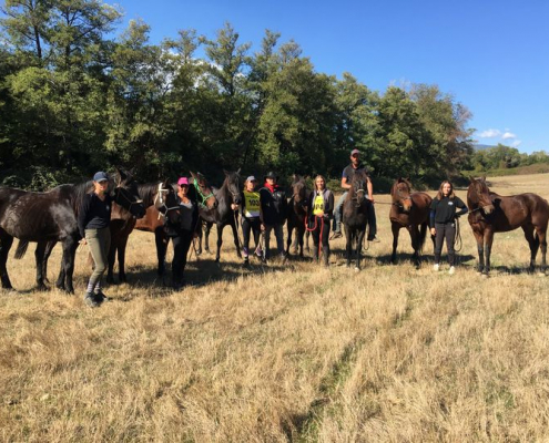 Endurance à Tallone : 9 chevaux de race corse participent à la course